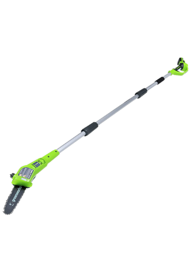 Greenworks G24PS20 24V 20CM Cordless Pole Saw (With 2AH Battery &amp; Charger)